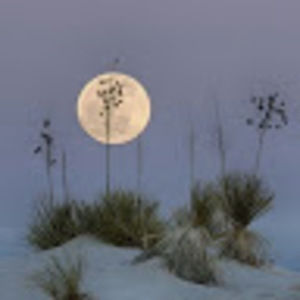 Meet your Posher, Sofia